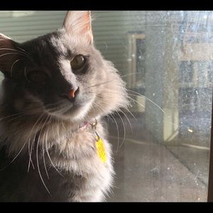 Meet your Posher, Michelle